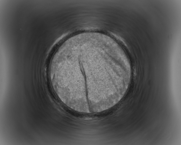 X0000082970684200703020235