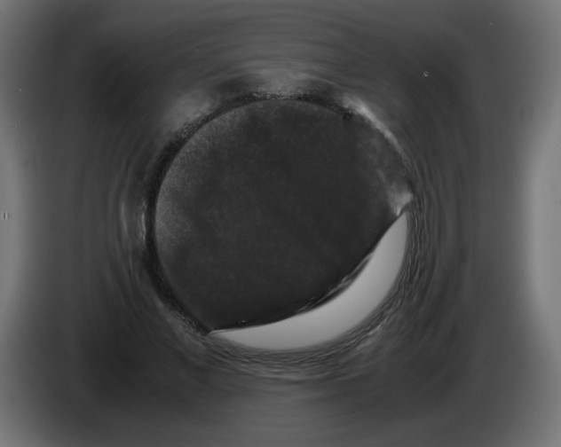 X0000082970685200703020235