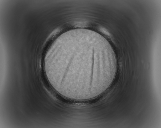 X0000082970686200703020235