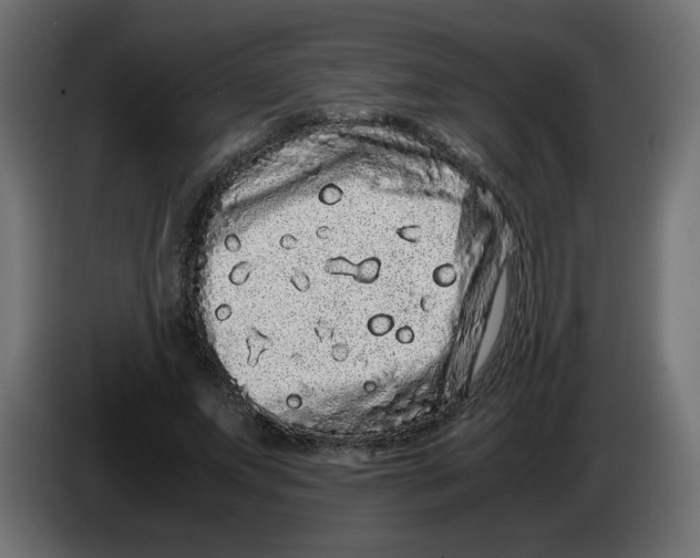 X0000082970687200703020235