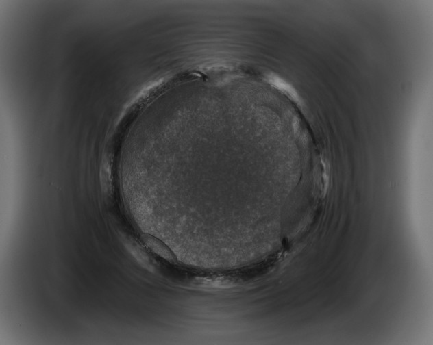 X0000082970688200703020235