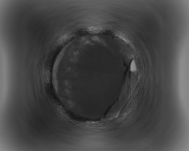 X0000082970689200703020235