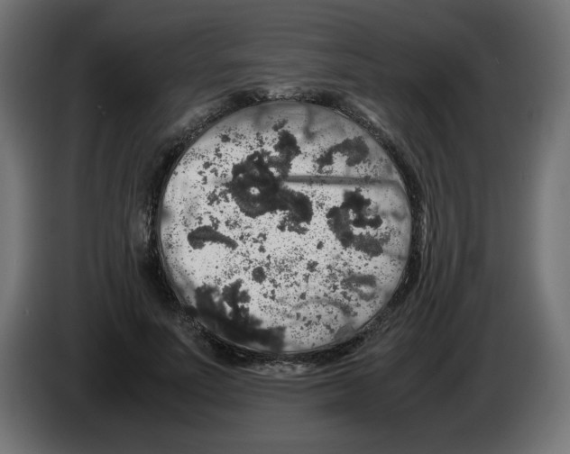 X0000082970691200703020235