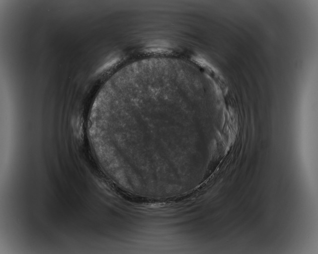 X0000082970692200703020235