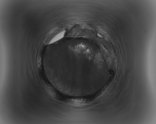 X0000082970693200703020235