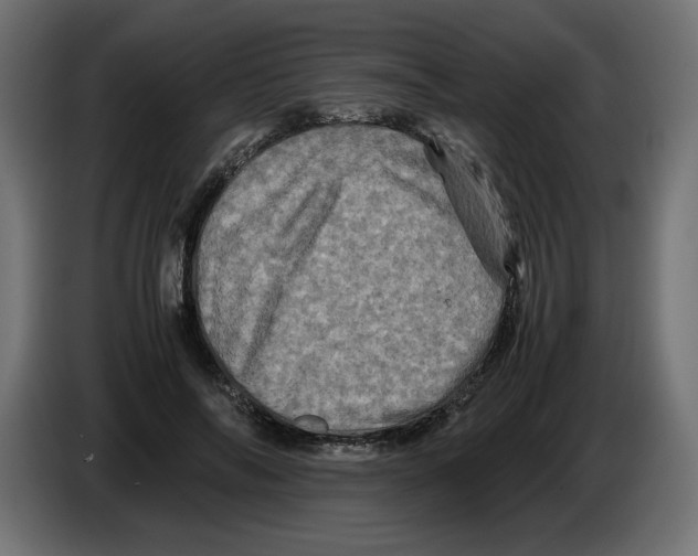 X0000082970694200703020235