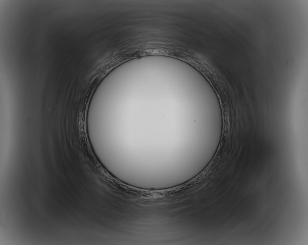 X0000082970696200703020235