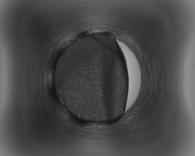 X0000082970697200703020235