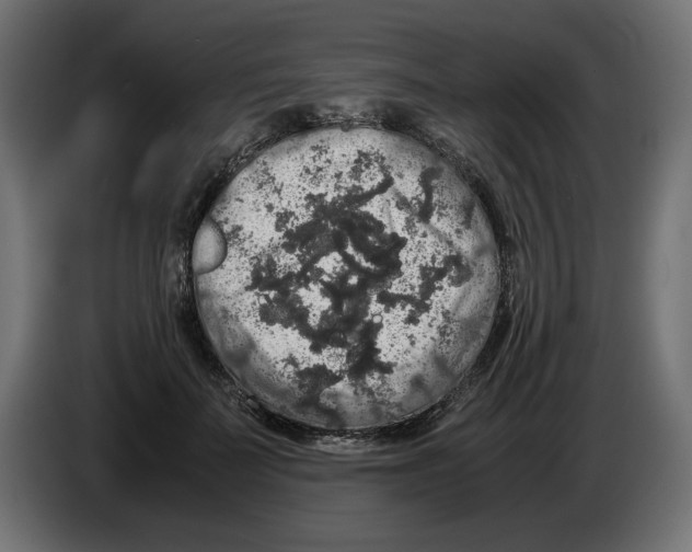 X0000082970699200703020234