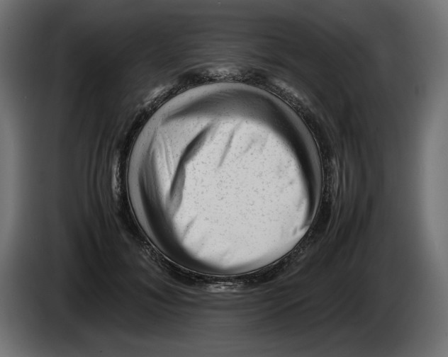 X0000082970700200703020234