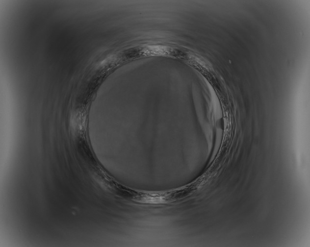 X0000082970701200703020234