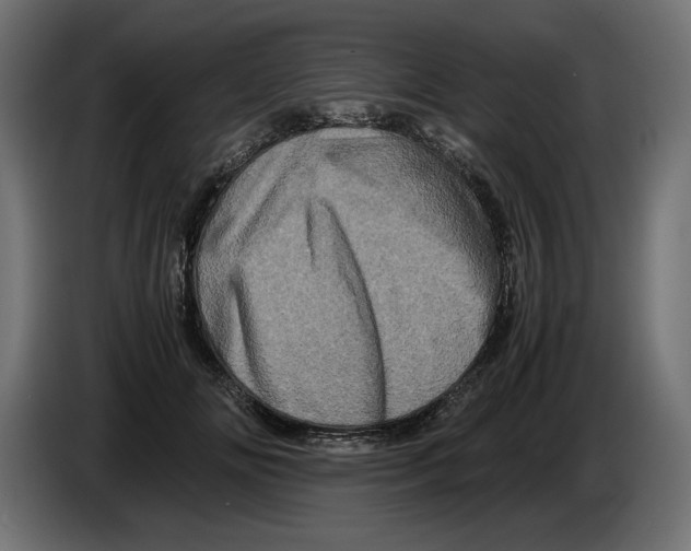 X0000082970702200703020234