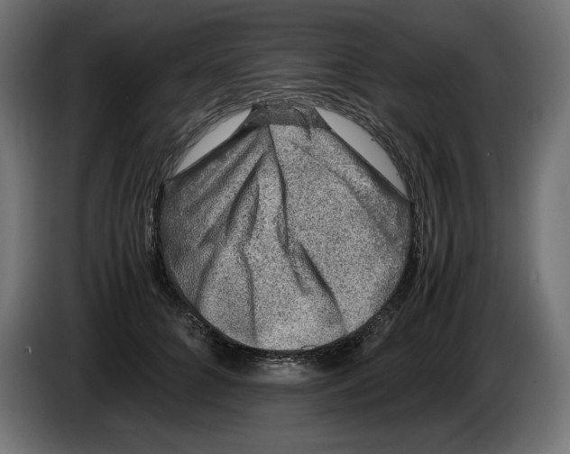 X0000082970704200703020234
