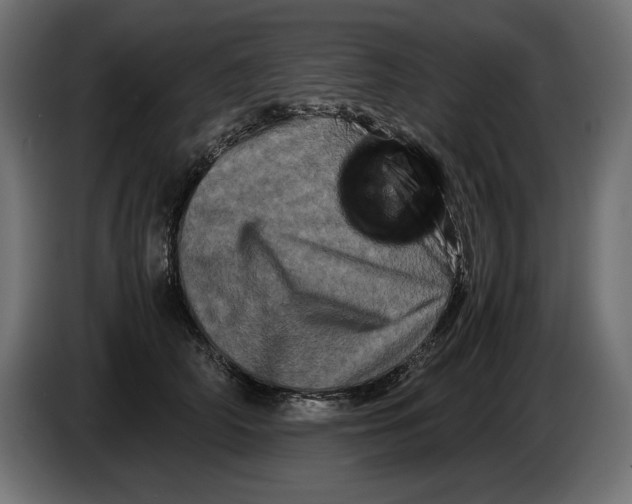 X0000082970706200703020234