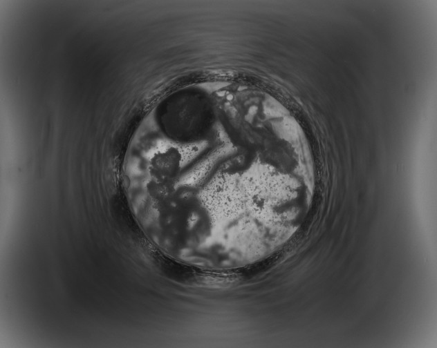 X0000082970707200703020234