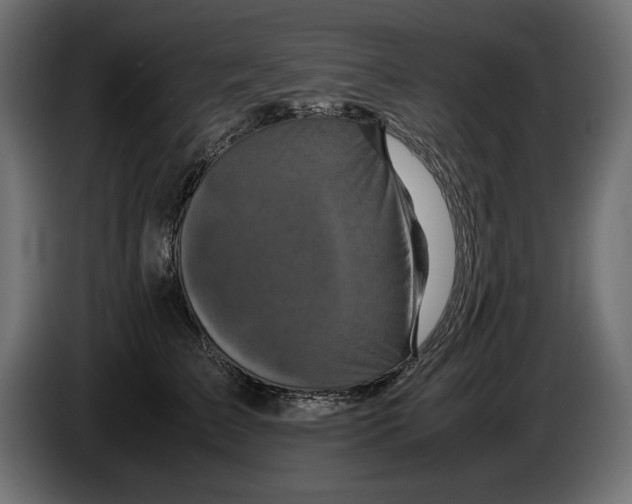 X0000082970709200703020234