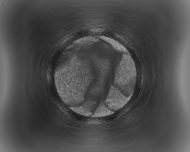 X0000082970710200703020234