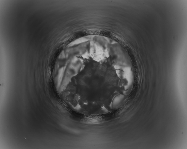X0000082970711200703020234