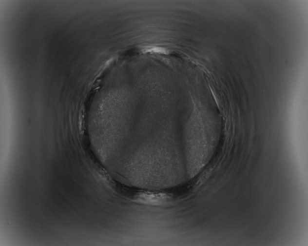 X0000082970712200703020234