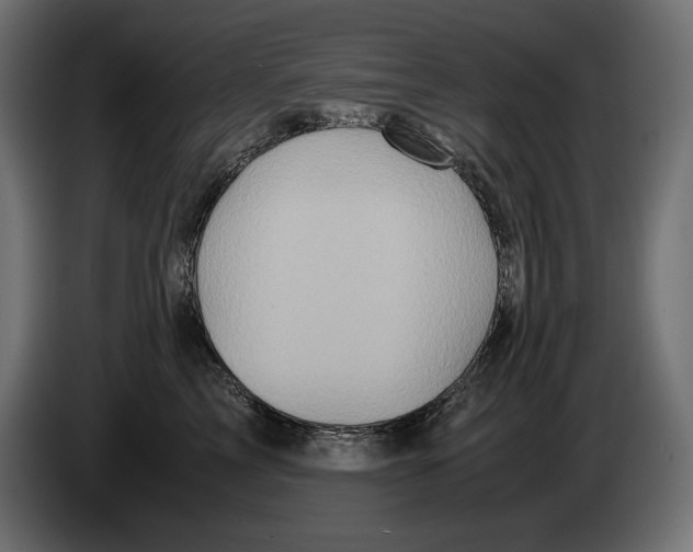 X0000082970713200703020234