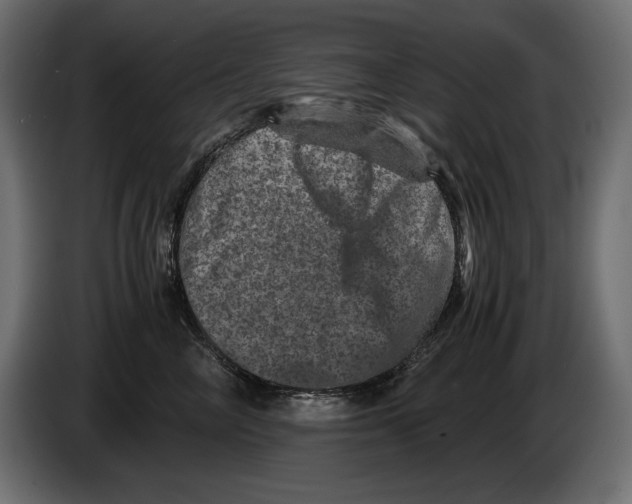 X0000082970714200703020234