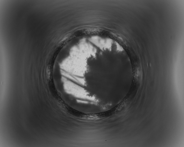 X0000082970715200703020234