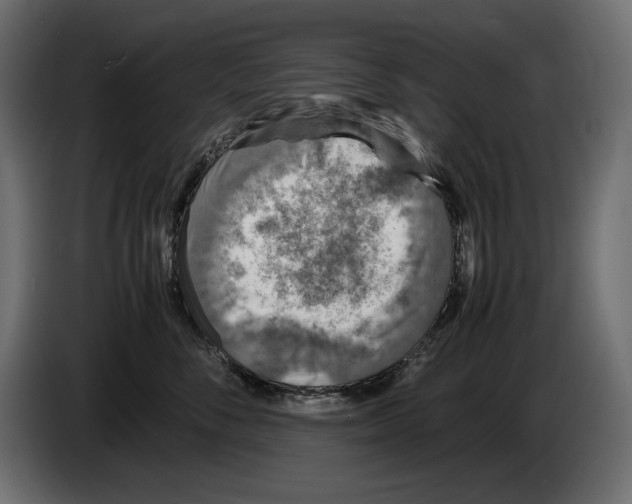 X0000082970716200703020234