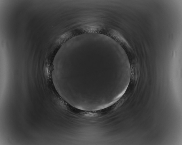 X0000082970718200703020234