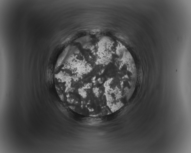 X0000082970719200703020234