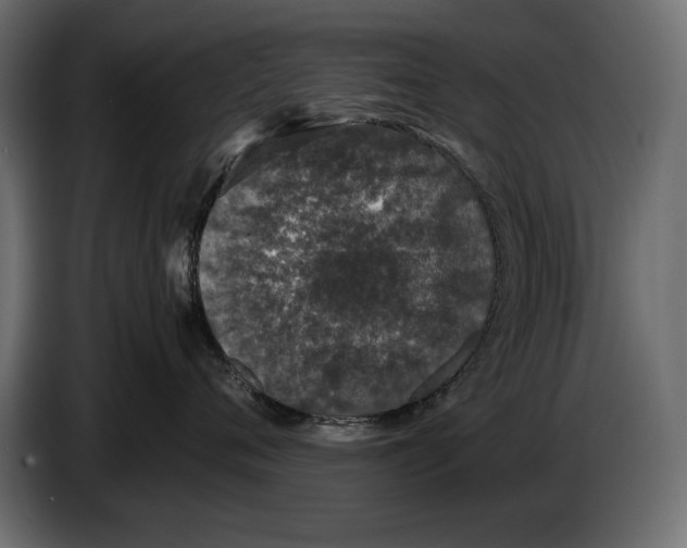 X0000082970720200703020234