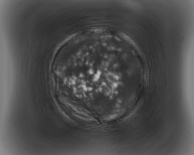 X0000082970721200703020234