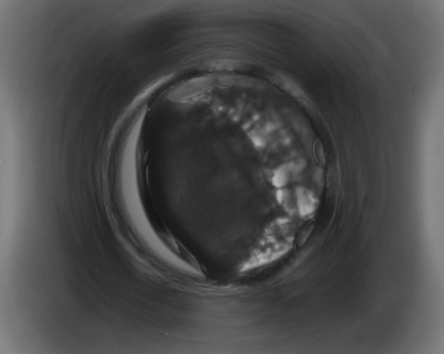 X0000082970722200703020234