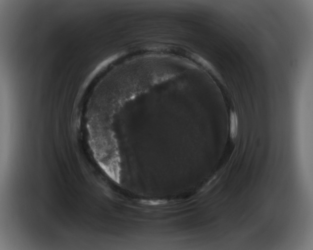 X0000082970723200703020234