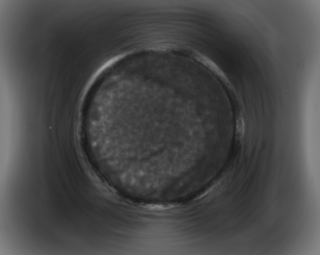 X0000082970724200703020234
