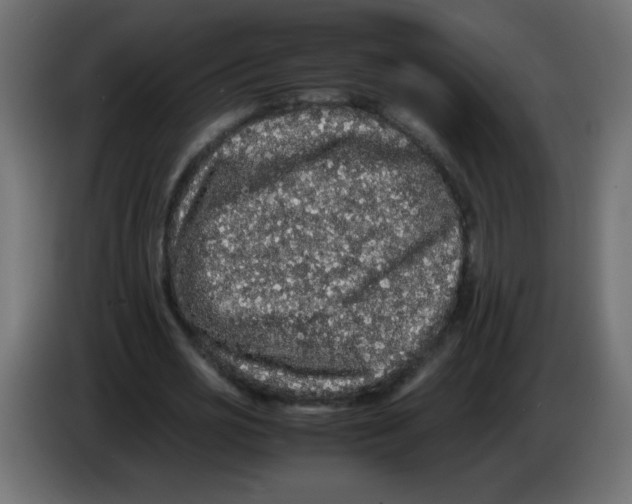 X0000082970725200703020234