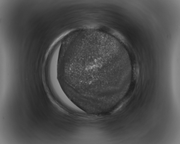 X0000082970726200703020234