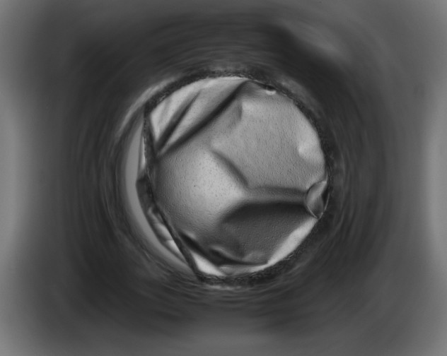 X0000082970727200703020234