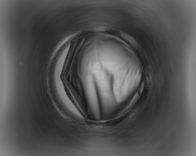 X0000082970728200703020234