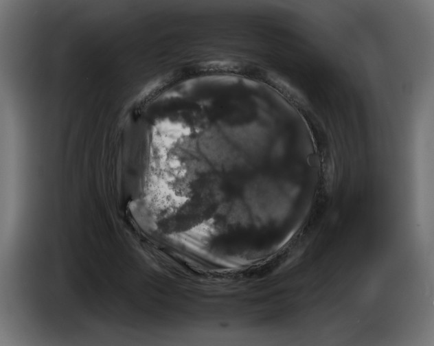 X0000082970729200703020234