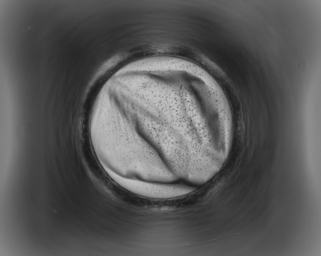 X0000082970730200703020234