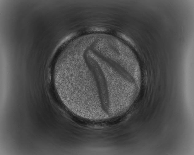 X0000082970731200703020234