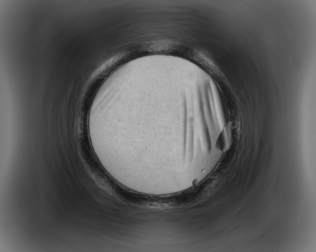 X0000082970732200703020234