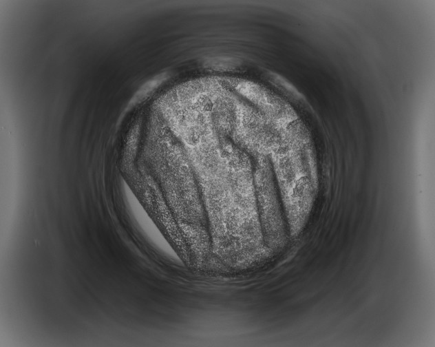 X0000082970734200703020234