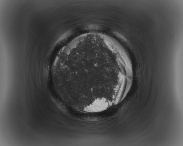 X0000082970735200703020234