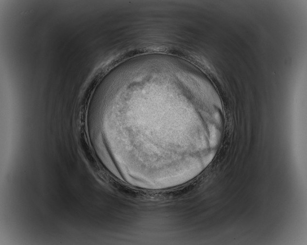 X0000082970736200703020234
