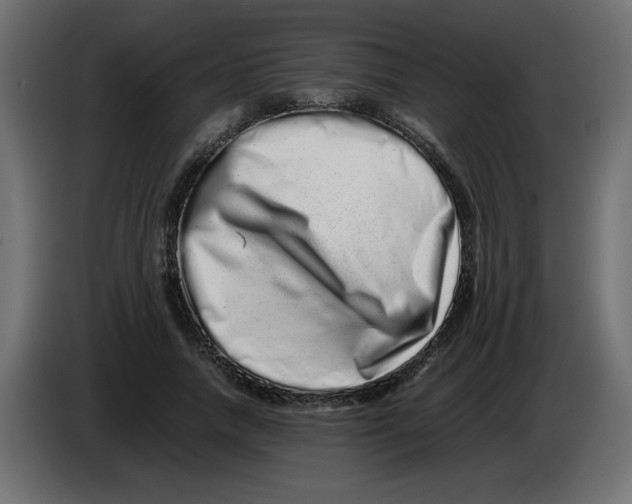 X0000082970738200703020234