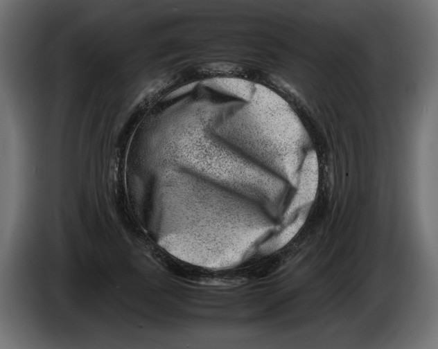 X0000082970739200703020234