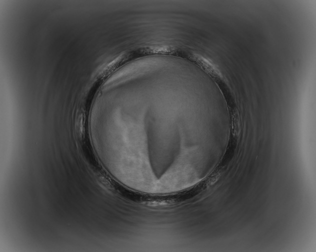X0000082970740200703020234
