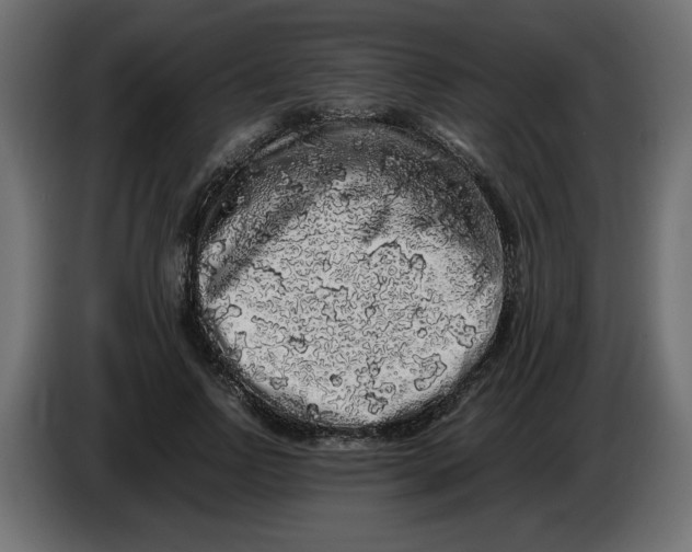 X0000082970742200703020234