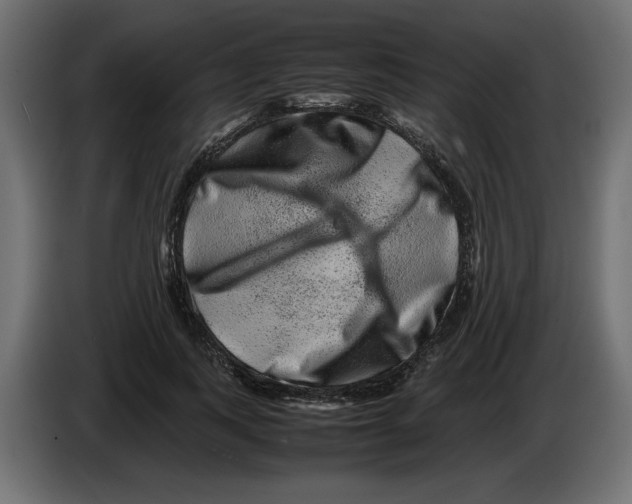 X0000082970743200703020234
